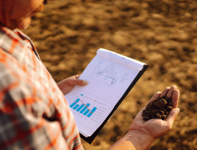 Análise de dados se torna estratégica na gestão agrícola